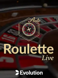 Roulette Live at BDGO COM
